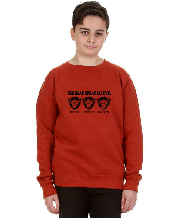 Kids 3 Wise Monkey Print Rust Sweatshirt